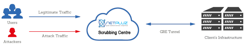 Netpluz-Scrubbing-centre