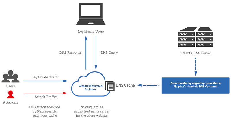 Netpluz DNS Protection 800x432