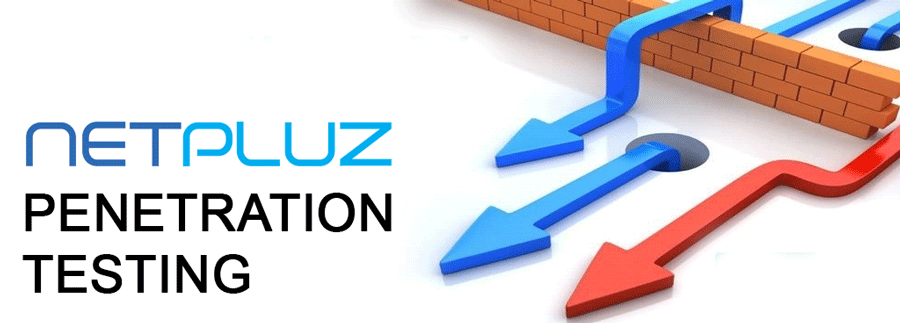 Netpluz Penetration Testing