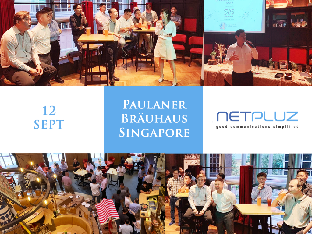 Netpluz Channel Managed Service Provider Singapore