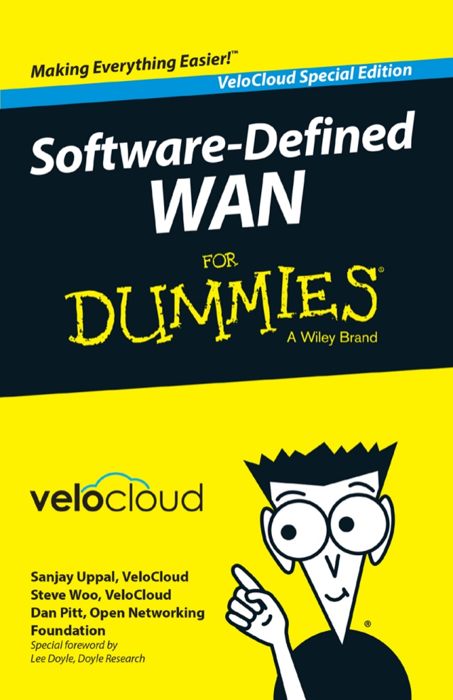 SDWAN for dummies guide netpluz